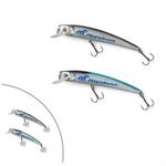 Floating Minnow Fishing Lure -  