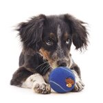 Pet Synthetic Promotional Tennis Ball -  