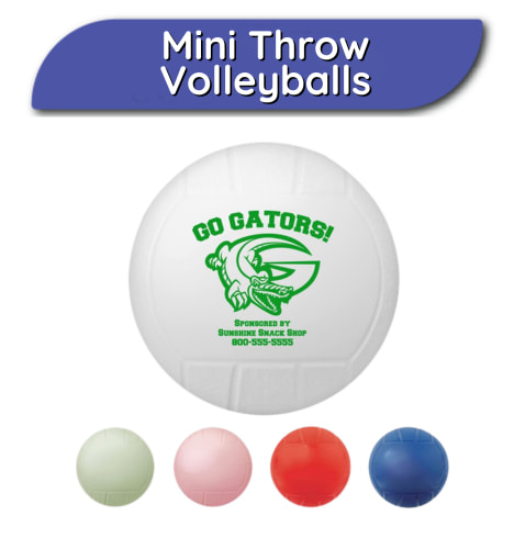 Mini Volleyballs