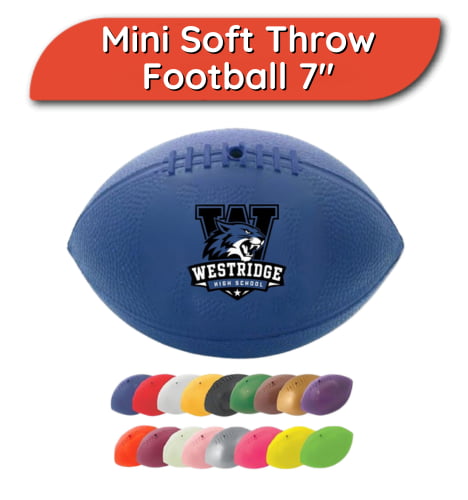 Mini Autograph Footballs