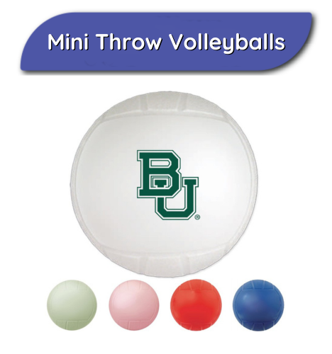 Mini Volleyballs