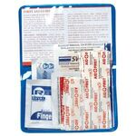 15 Piece Economy First Aid Kit in Colorful Vinyl Pouch -  