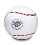Buy Custom Printed Sport Beach Ball 16"