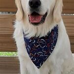 16" x 16" Full Color Dog Bandana -  