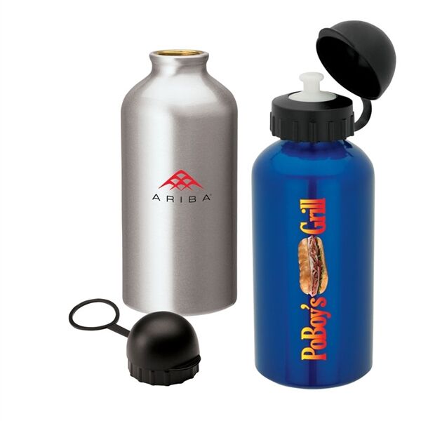 Main Product Image for 16.9 Oz Domed Flask