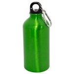 17 oz. Aluminum Petite Bottle -  Lime