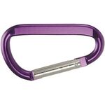 2" Small Carabiner