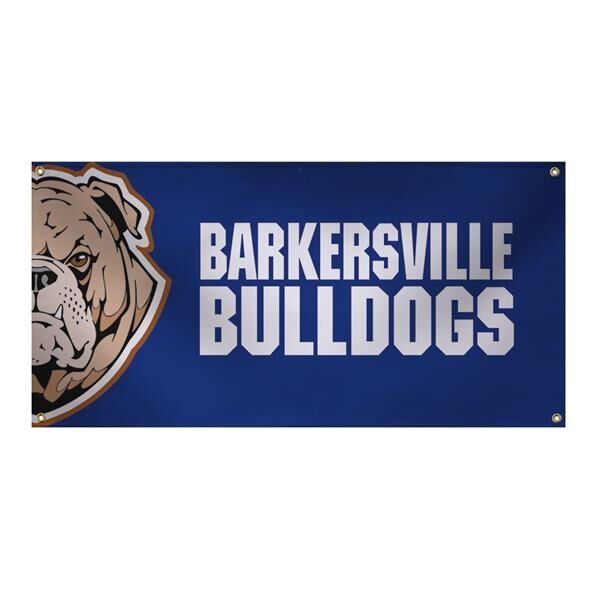 Main Product Image for 2' x 4' 13 Oz Smooth Vinyl Banner Single-Sided