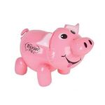 Buy 24 Pig Inflate