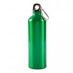 25 oz. Aluminum Alpine Bottle - Green