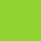 6" Rainbow Bear - Lime Green