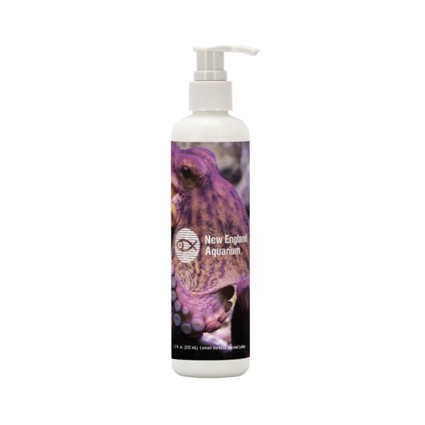Main Product Image for 8 oz. Bullet Lotion with Pump