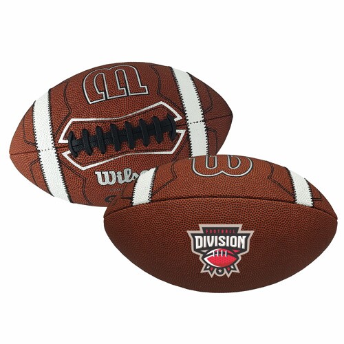 Main Product Image for Imprinted Wilson (R) Premium Composite Leather Football