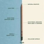 Alternate product view #6