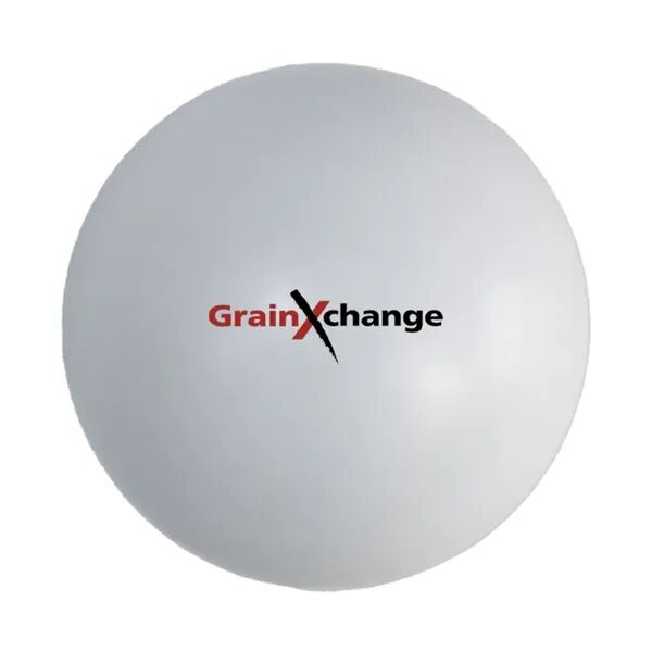 Main Product Image for Custom Printed Golf Ball Massager