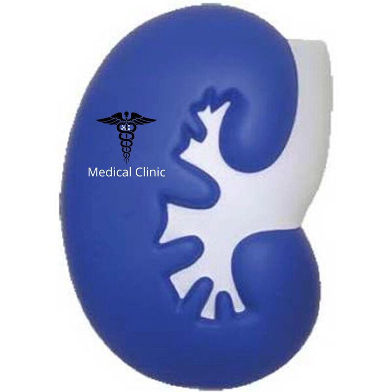 Main Product Image for Custom Printed Kidney Stress Reliever
