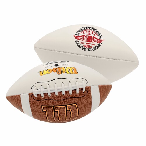 Main Product Image for Custom Printed Wilson Autograph Football Full Size 14"