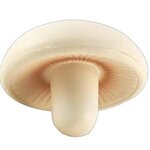 Design this item in White
