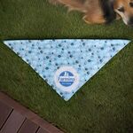 Alternate product view #4
