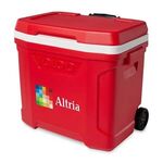 Alternate product view #24
