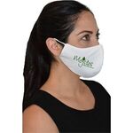 Buy Anti-Bacterial Woven Fabric 2 Layer Face Mask