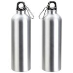 Atrium 25 oz Aluminum Bottle -  