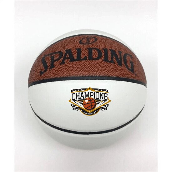 Main Product Image for Basketball - Full Size Spalding 3 Panel - Full Color Print