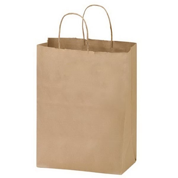 Main Product Image for Blank Natural Kraft 2-Bottle Wine Tote
