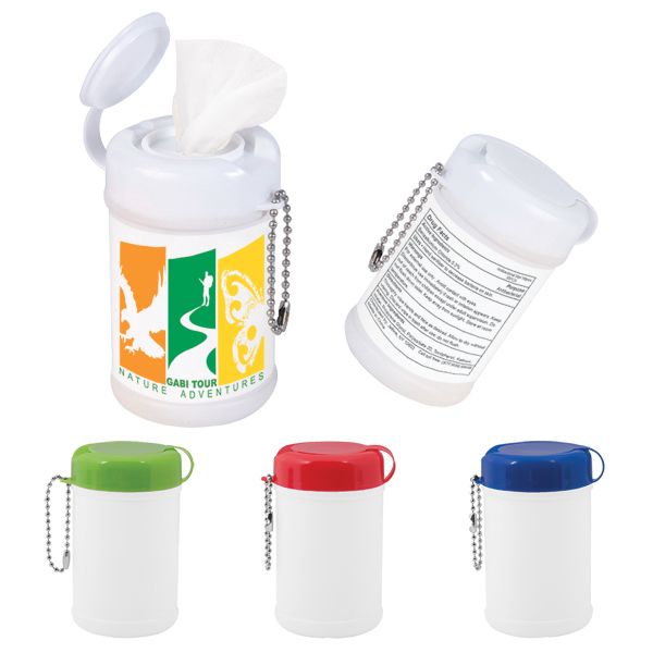 Main Product Image for Imprinted Sanitizer Canister