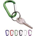 Carabiner Keychain - Silver