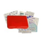 Companion Care First Aid Kit (TM) - Red