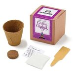 Buy Crown Chakra Growable in Kraft Gift Box