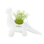 Dinosaur Planter -  