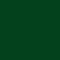 Express Antiseptic Towelette Kit - Dark Green