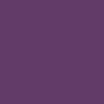 Express Primary Kit - Digital - Purple