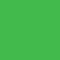 Express Sanitizer Kit - Transparent Green