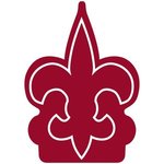 Fleur de Lys Foam Mitt - Maroon 202