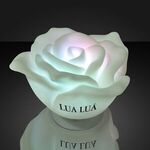 Floating Deco Roses with Color Change LEDs - Multi Color