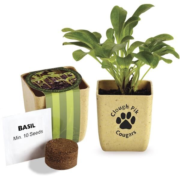 Main Product Image for Advertising Flower Pot Set With Basil Seeds