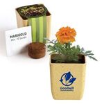 Buy Advertising Flower Pot Set With Marigold Seeds