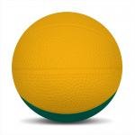 Foam Basketballs  Nerf -6" Large - Athletic Gold/Forest Grn