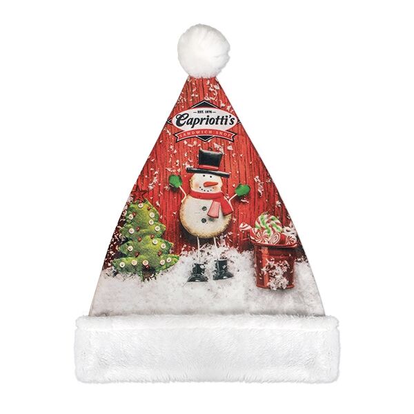 Main Product Image for Promotional Full Color Santa Hat