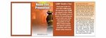 Home Fire Prevention Pocket Pamphlet - Standard