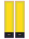 Knee High Tube Socks - Yellow
