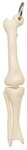 Buy Promotional Knee Joint Bone Keyring