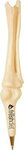 Knee Joint Bone Pen -  