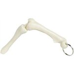 Knee Joint Keyring - White