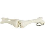 Knee Joint Keyring -  