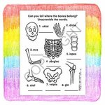 Learn About X-Rays Coloring and Activity Book -  