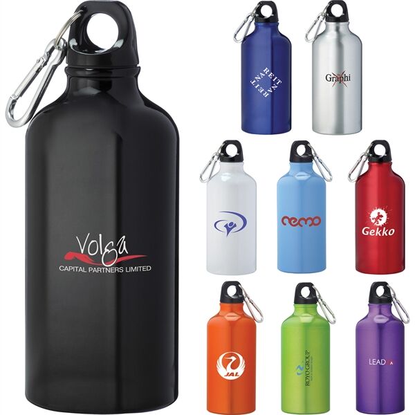 Main Product Image for Li'l Shorty 17 Oz Aluminum Sports Bottle